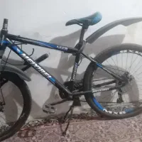 موتور