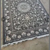فرش پرستو