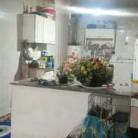خانه 270 متری پویینک