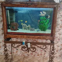 فروش آکواریوم کلبه ای چوب گردو
