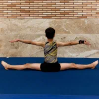 آکادمی ژیمناستیک آناژیم