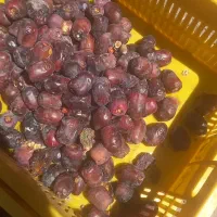 خریدار کده وصایعات خرما