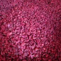 زرشک پفکی اعلا درجه یک