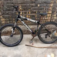 دو عدد دوچرخه