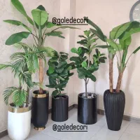 درخچه های شیک وارداتی