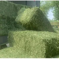 فروش یونجه