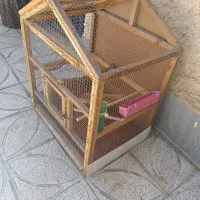 قفس انواع پرنده و طوطی