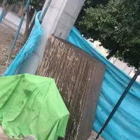 تخته فلای وود