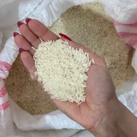 برنج طارم هاشمی