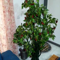 درختچه مصنوعی گیلاس