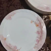 ظرف|ظروف سرو و پذیرایی|زابل, |دیوار