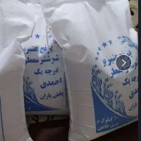عنبربو هاشمی فجر