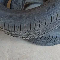 لاستیک مینفولد