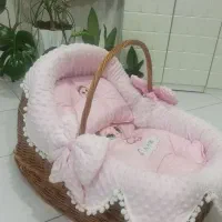 نانو سبدی