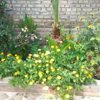 ویلایی ۲۳۰ متر در مویلحه