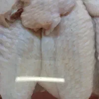 بال و پاچین مرغ تاریخ روز
