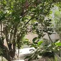 فروش-خانه-حیاط-دار