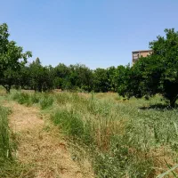 خ تهران،اول افراقلم/185متر زمین/با بر11متر/ بقیمت