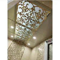 خانه ویلایی یک طبقه روی پارکینگ