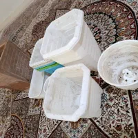 تعداد ده عدد گلدان کاملا سالم