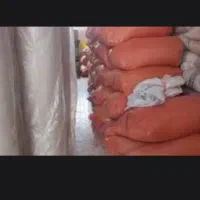 اکوته،پوست برنج
