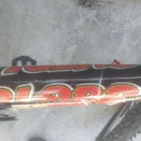 دوچرخه ۲۴ درحد