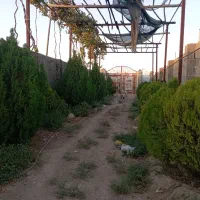کارگر پسته کار تمام وقت ترجیحا متاهل