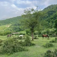 فروش باغ شهری