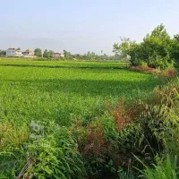 فروش-زمین-احسان-اصلی