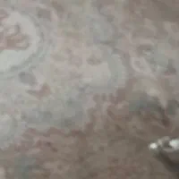 فرش ۶متری دوعدد