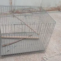 قفس پرنده