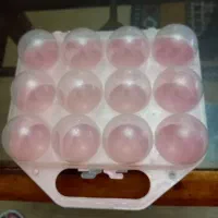 جای نگهداری تخم مرغ ۱۲ عددی