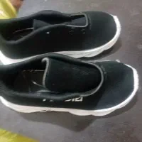 بیش از ۵۰ جفت