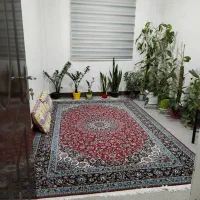 فروش همکف ۲۲۰ متری فقط ۹ میلیارد تکمیل