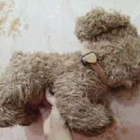 عروسک