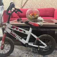 دوچرخه نمره ۱۲