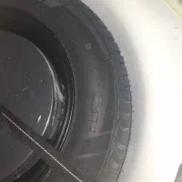 لاستیک‌ بارز