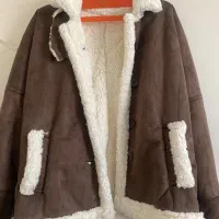 کت جیر تدی