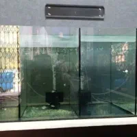 آکواریوم ریملکس سوپر کلیر