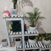 استند گل