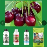 جایگزین تضمینی کودشیمیایی واوره(باردهی بیشتر)