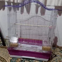 قفس پرنده