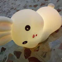 شب خواب رنگی