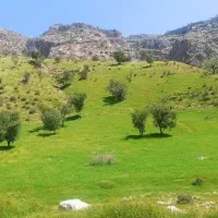 زمین  سند دار مرودشت حاج رمضان 200متر