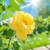 متخصص طب سنتی