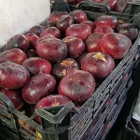 انجیر سیاه درجه یک