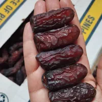 انواع خشکبار وخرما/پیارم/مضافتی/کبکاب/زاهدی و