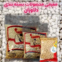 جذب بازاریاب حضوری مویرگی