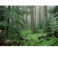 تور یک روزه شمال نمک ابرود و متل قو