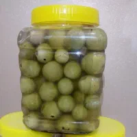 ترشی سپستان جنوب